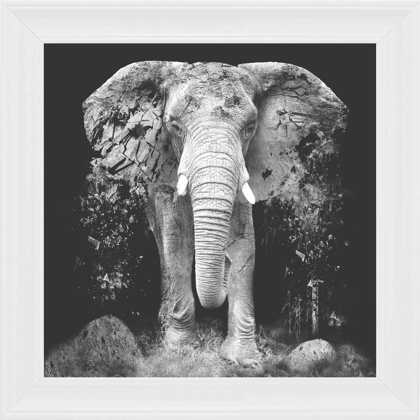 Ancient Elephant Framed Wall Art - White