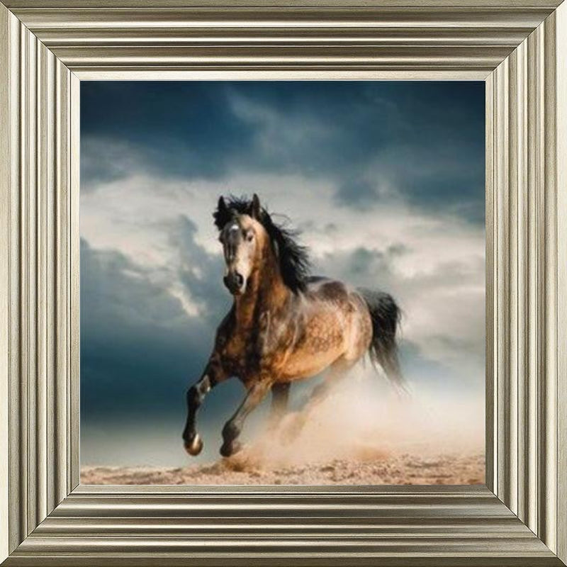 Horse in Duststorm