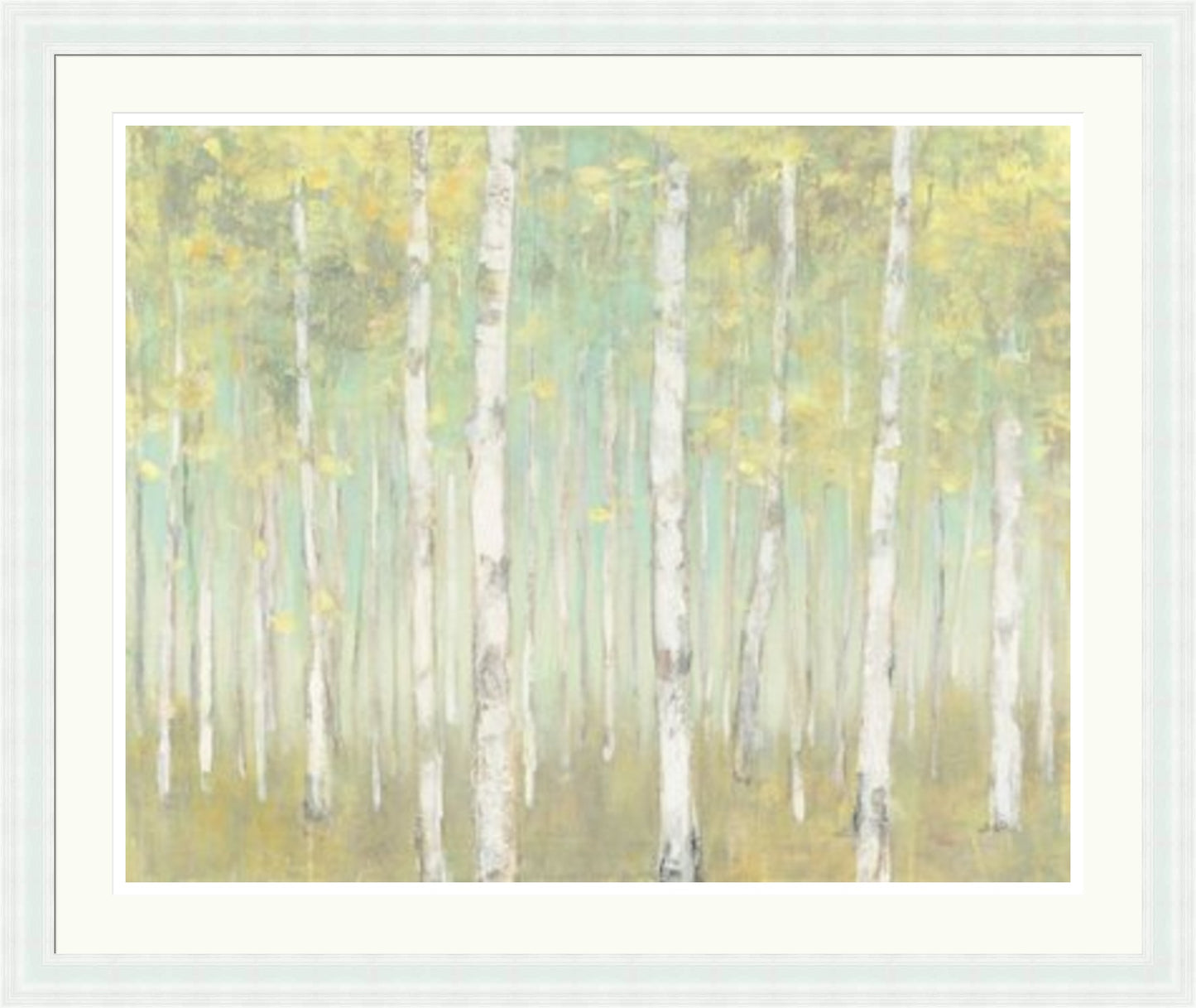 Sylvan Birches by Julia Purinton