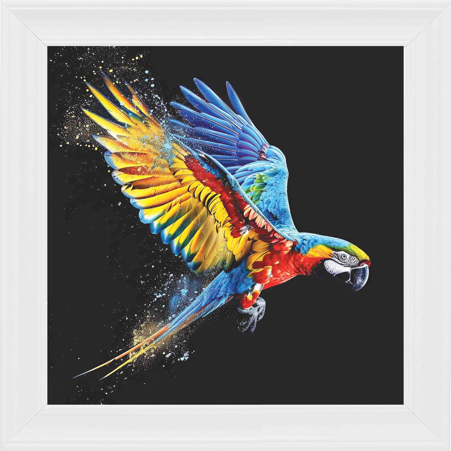 Multicolour Parrot In Flight 2 Framed Wall Art - White