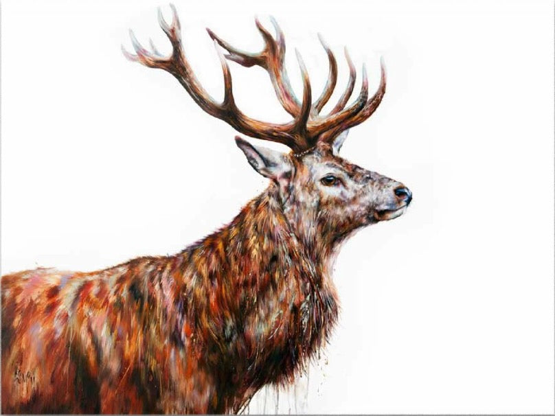 The Wild Rover Stag Art Print (Limited Edition) by Georgina McMaster