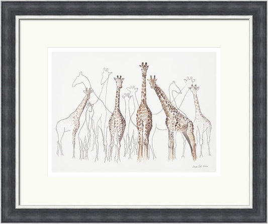 Toutes les Girafes (All Giraffes) by Aimee Del Valle