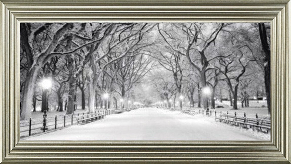 Winter Walk