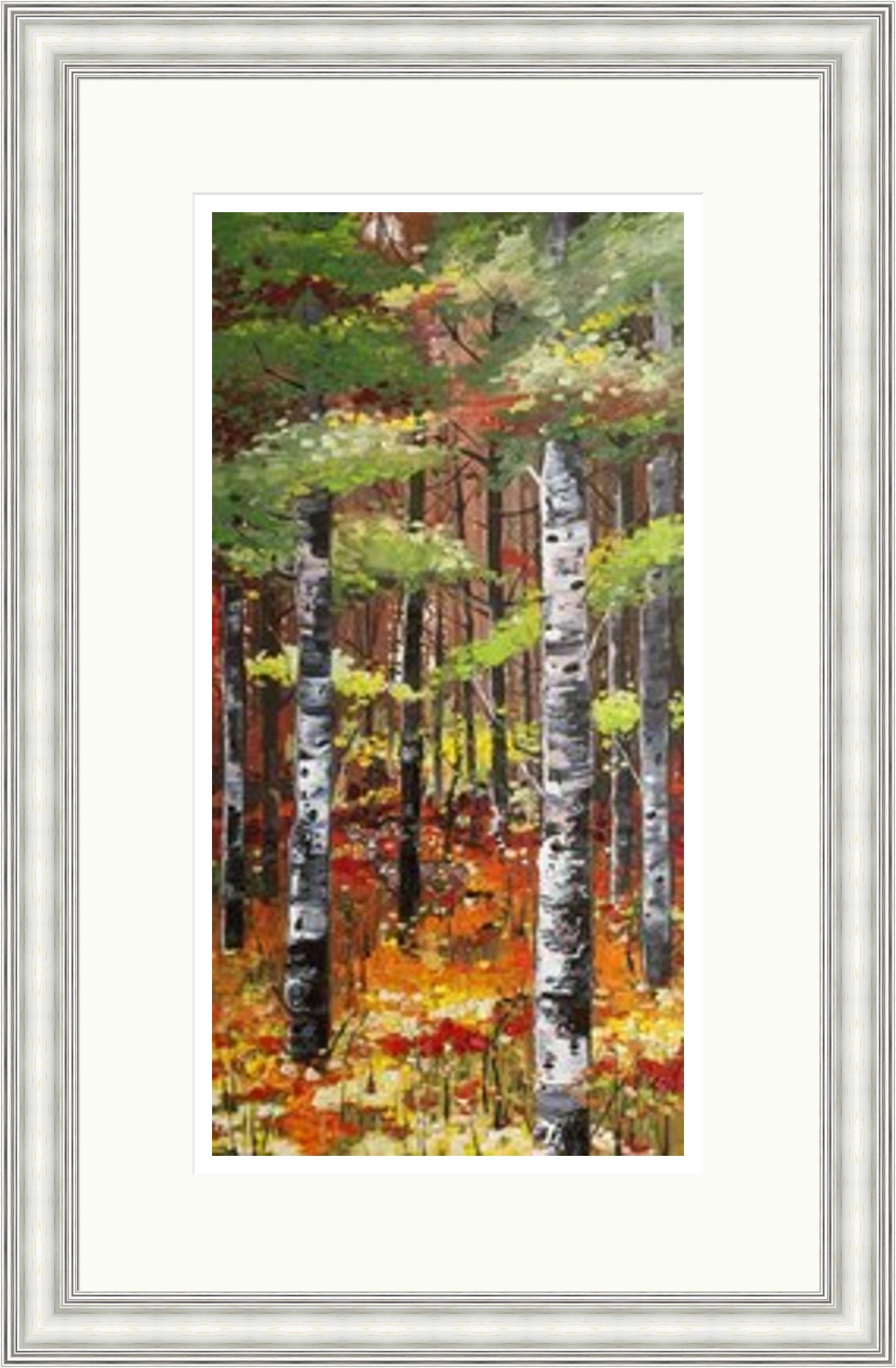 Silver Birches & Poppies by Daniel Campbell