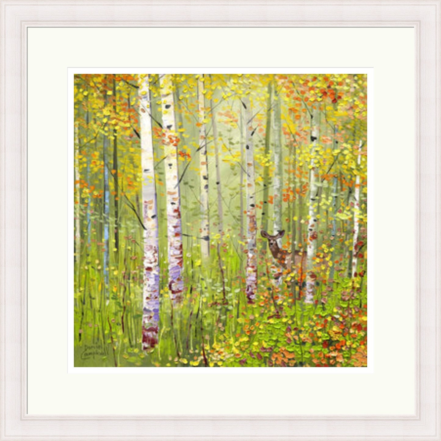 Silver Birches in Spring by Daniel Campbell