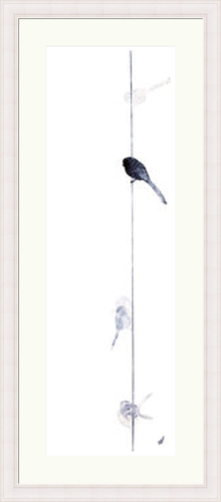 Long Tailed Tit IV by Sandra Vick