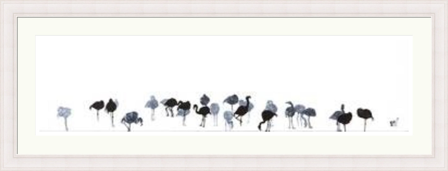 Flamingos by Sandra Vick