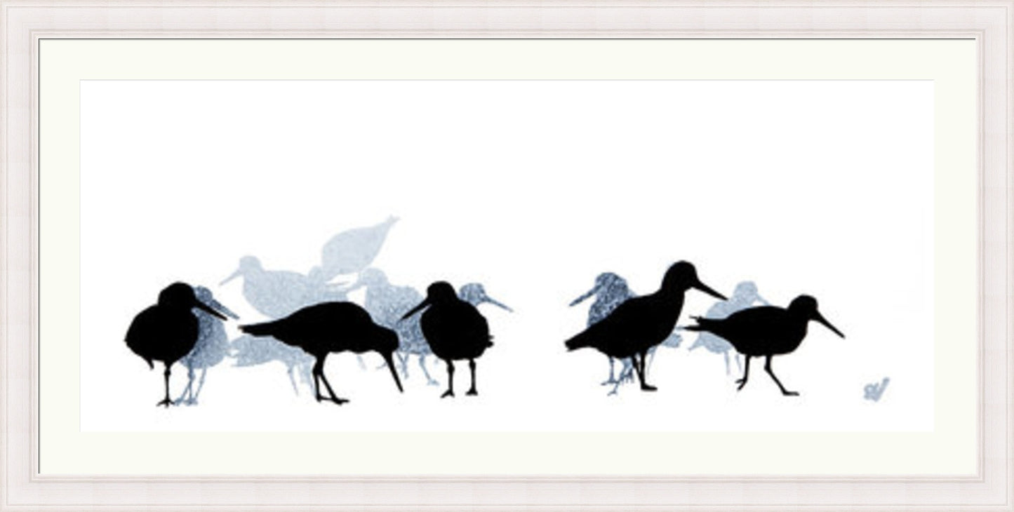 Oystercatchers by Sandra Vick