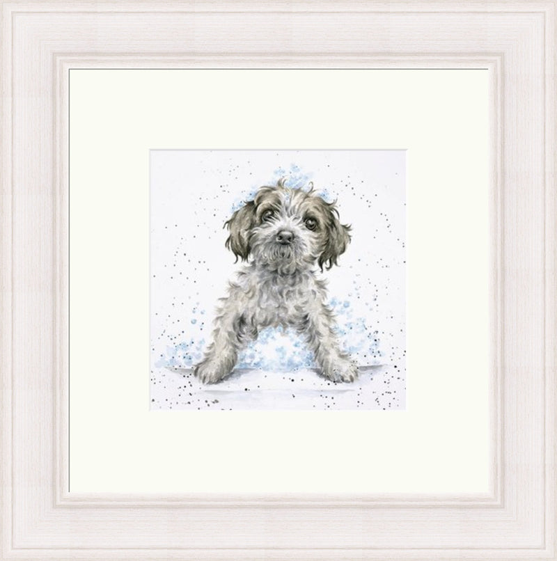 Bubbles And Barks Wrendale Designs by Hannah Dale Art Prints Gallery