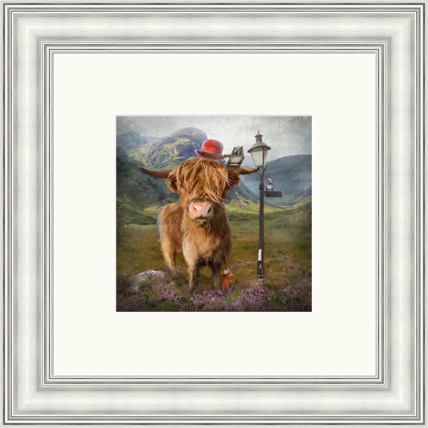 Highland Cow by Matylda Konecka