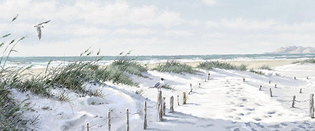 Footpath to the Beach by Richard Macneil