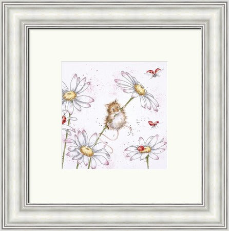 Oops A Daisy - Wrendale Designs by Hannah Dale