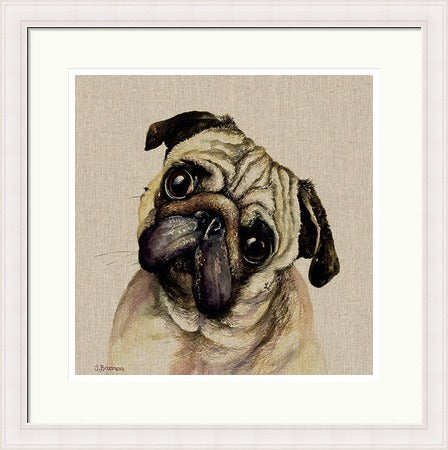Pringle by Jane Bannon