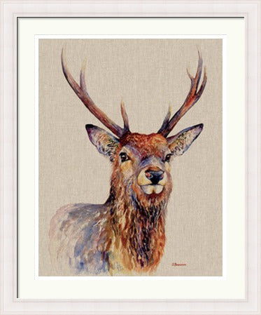 Proudlock by Jane Bannon