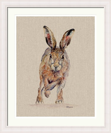 Phoebe by Jane Bannon