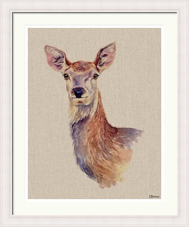 Felicity by Jane Bannon