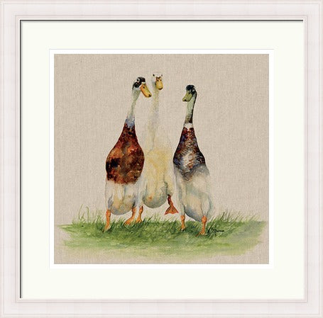 Dilly, Roly & Henry by Jane Bannon