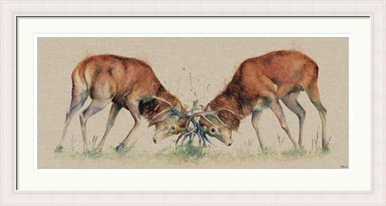 Winner Takes All by Jane Bannon