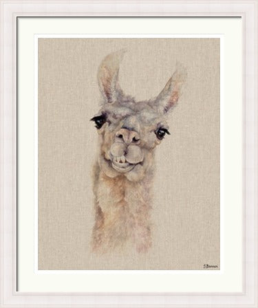 Rodney by Jane Bannon
