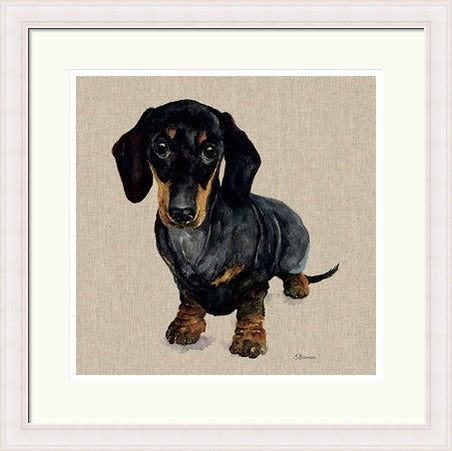 Danny Dachshund Framed Print by Jane Bannon