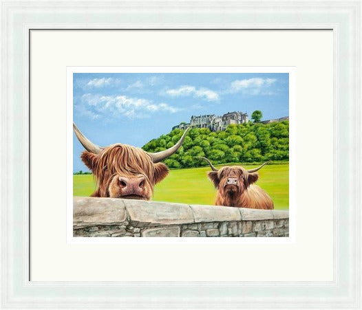 Heilan Coos at Stirling Castle by Scott McGregor