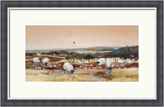 Sheep at Dusk (Limited Edition) by Kate Philp