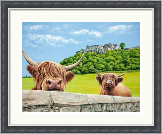 Heilan Coos at Stirling Castle by Scott McGregor