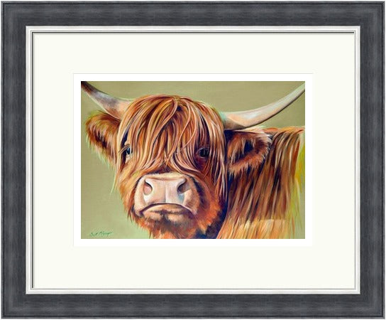 Bracken by Scott McGregor