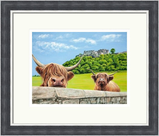 Heilan Coos at Stirling Castle by Scott McGregor