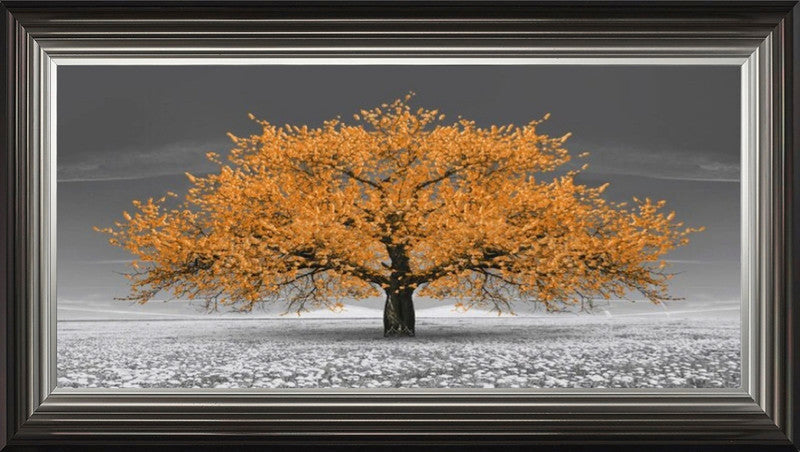 Orange Cherry Blossom Tree