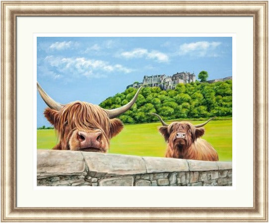 Heilan Coos at Stirling Castle by Scott McGregor