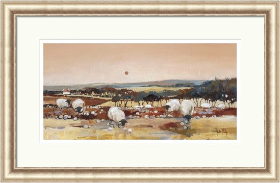 Sheep at Dusk (Limited Edition) by Kate Philp