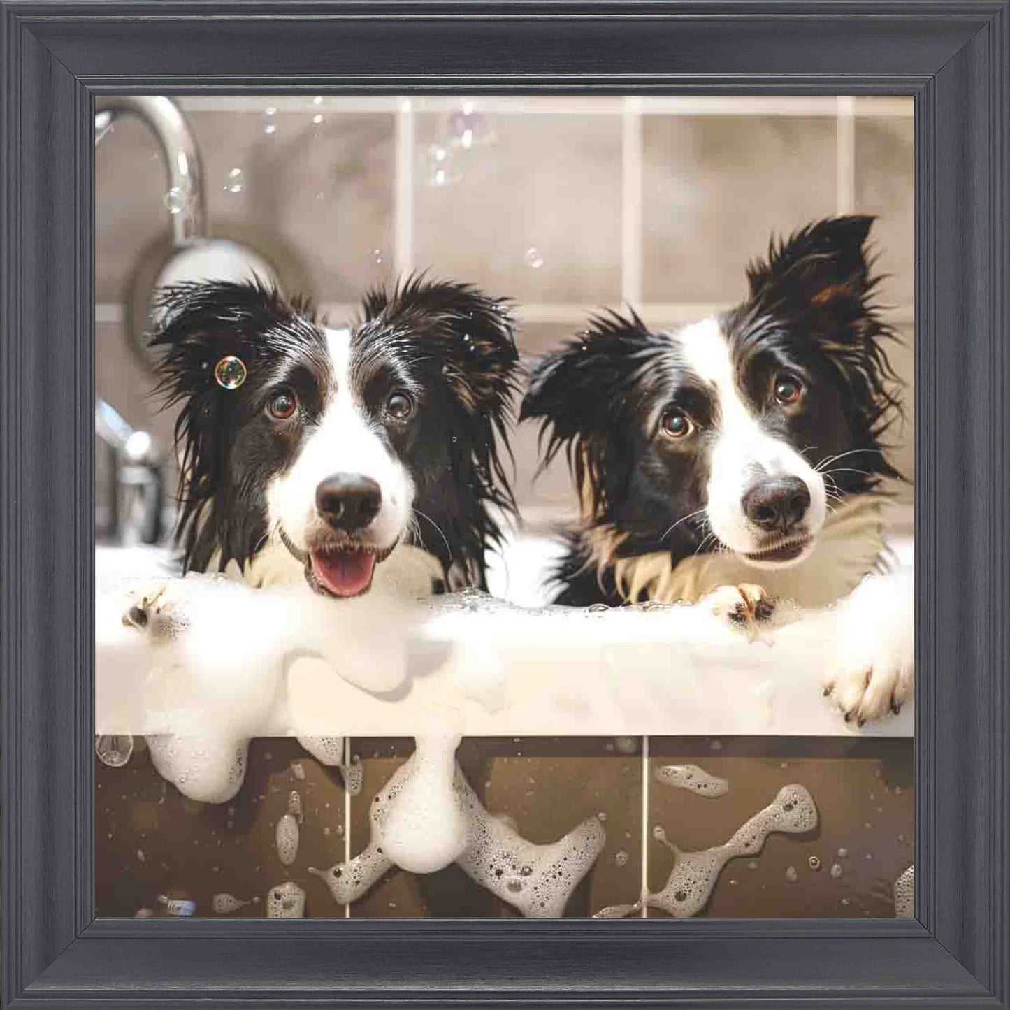 2 Border Collie BB1 Framed Wall Art - Black