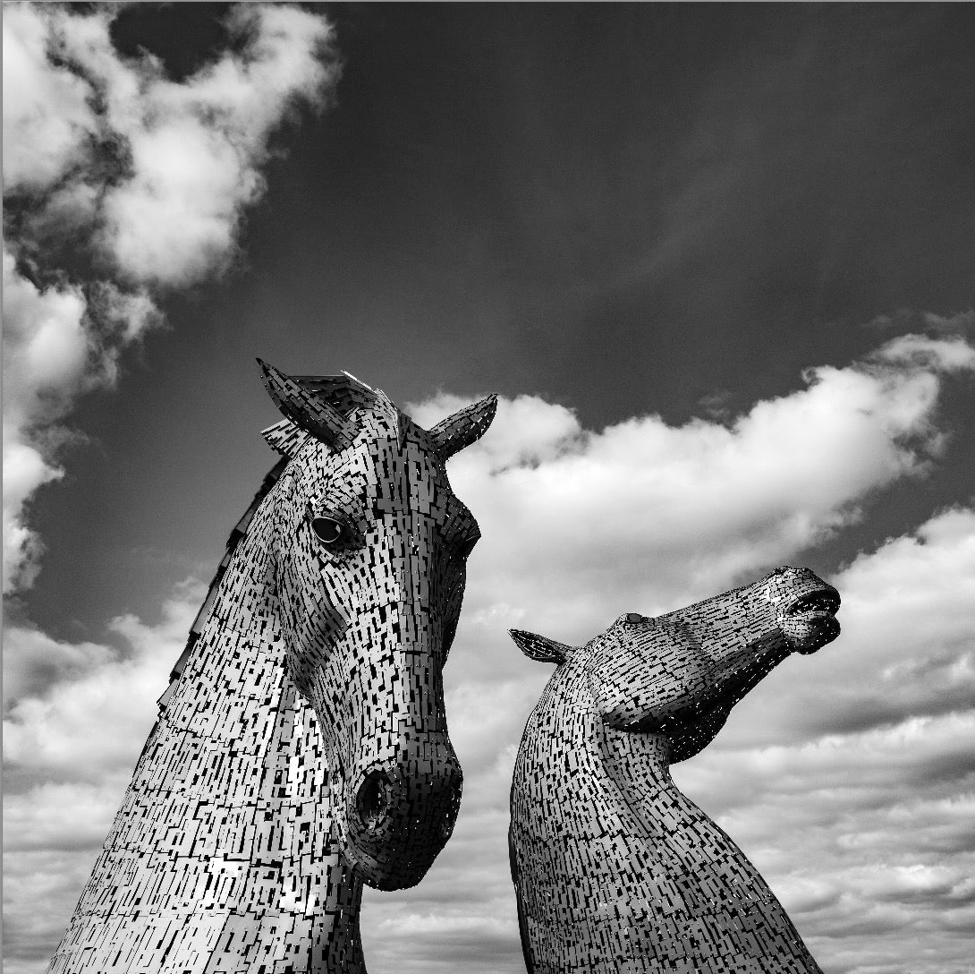 The Kelpies Black and White