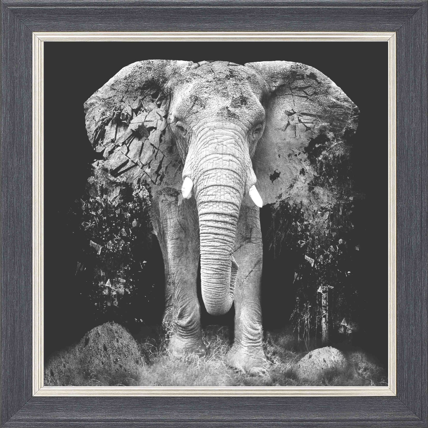 Ancient Elephant Framed Wall Art - Grey with Silver Trim