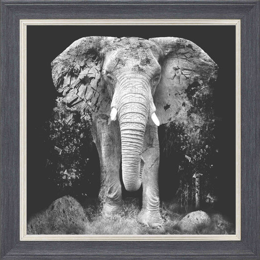 Ancient Elephant Framed Wall Art - Grey with Silver Trim
