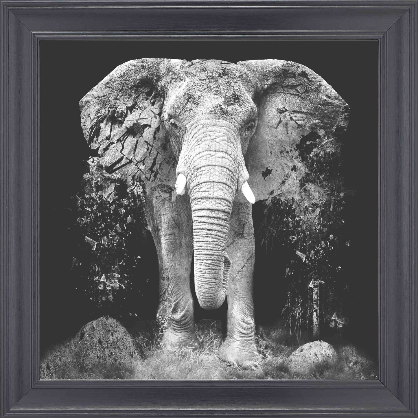 Ancient Elephant Framed Wall Art - Black