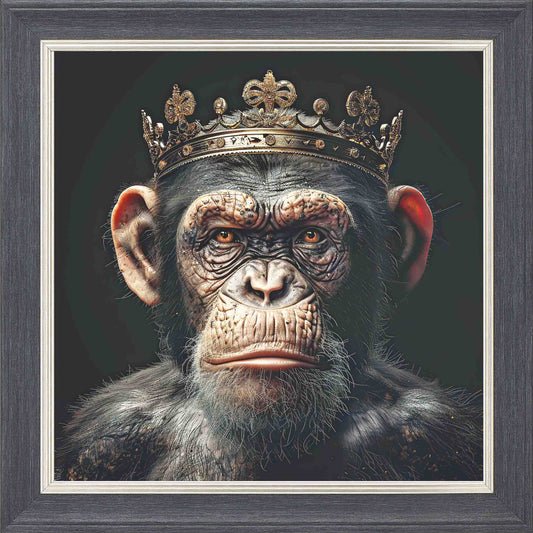Ape King Framed Wall Art - Grey with Silver Trim