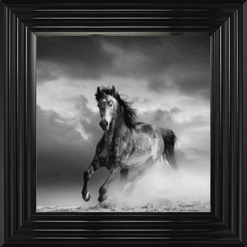 Horse in Sandstorm - Black and White