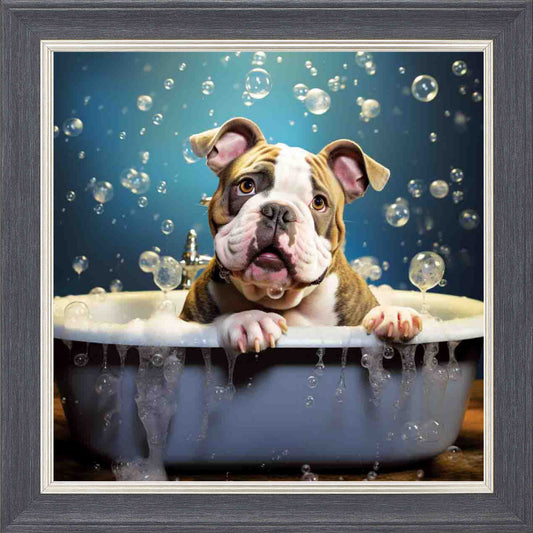 Bulldog Grey Bubble Bath Framed Wall Art - Grey with Silver Trim