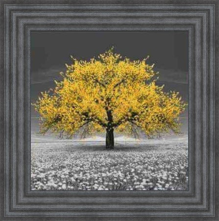 Yellow Cherry Blossom Tree
