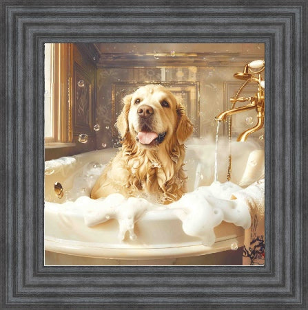 Golden Retriever Bath Time