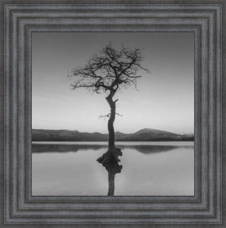 Reflected Tree, Loch Lomond - Black and White
