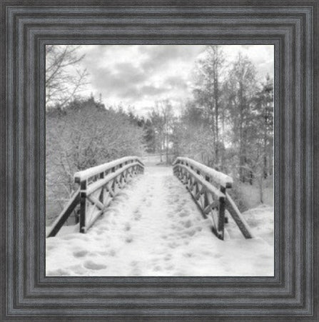 Snowy Path Black and White