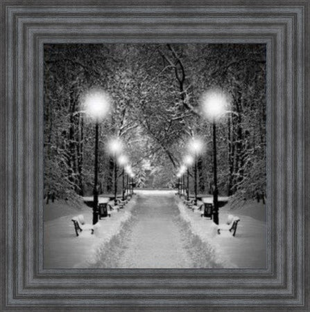Winters Eve - Black and White