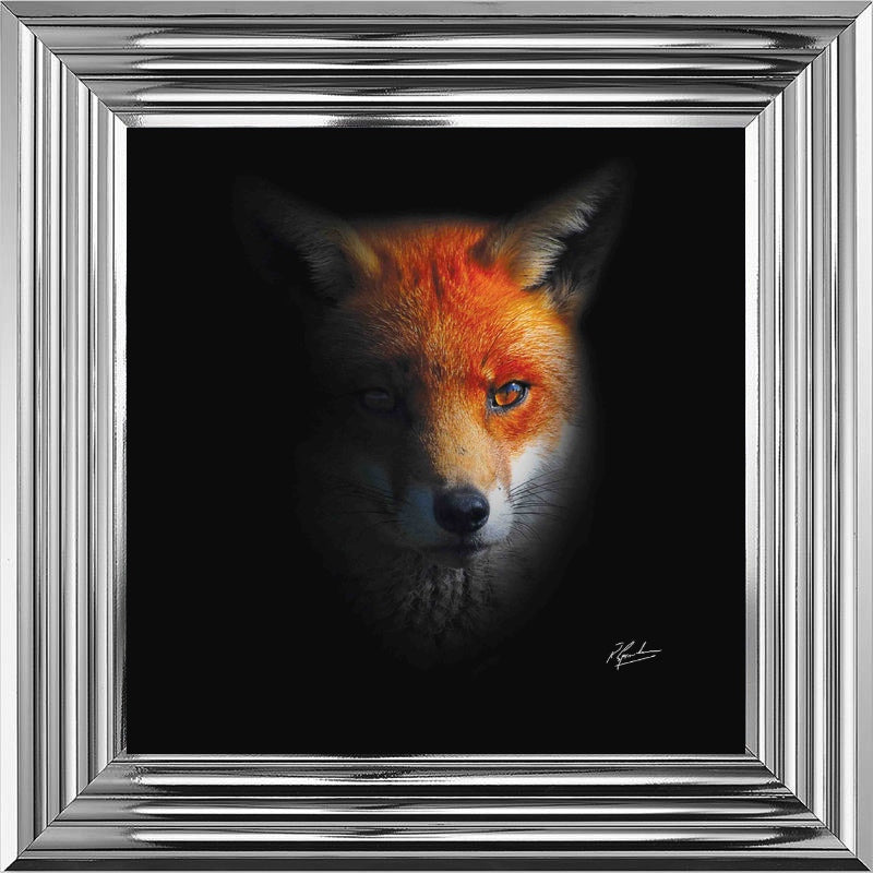 Dark Fox