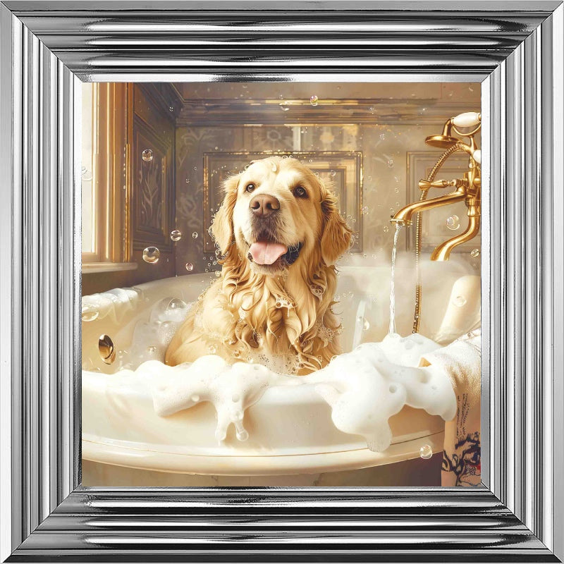 Golden Retriever Bath Time