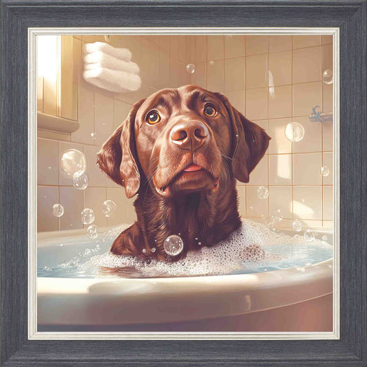 Chocolate Labrador Bubble Bath Framed Wall Art - Grey with Silver Trim