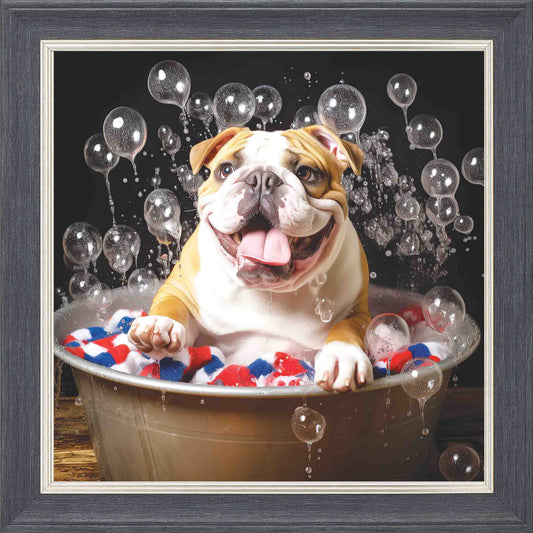 English Bull Dog Bubble Bath Towel Framed Wall Art - Grey with Silver Trim
