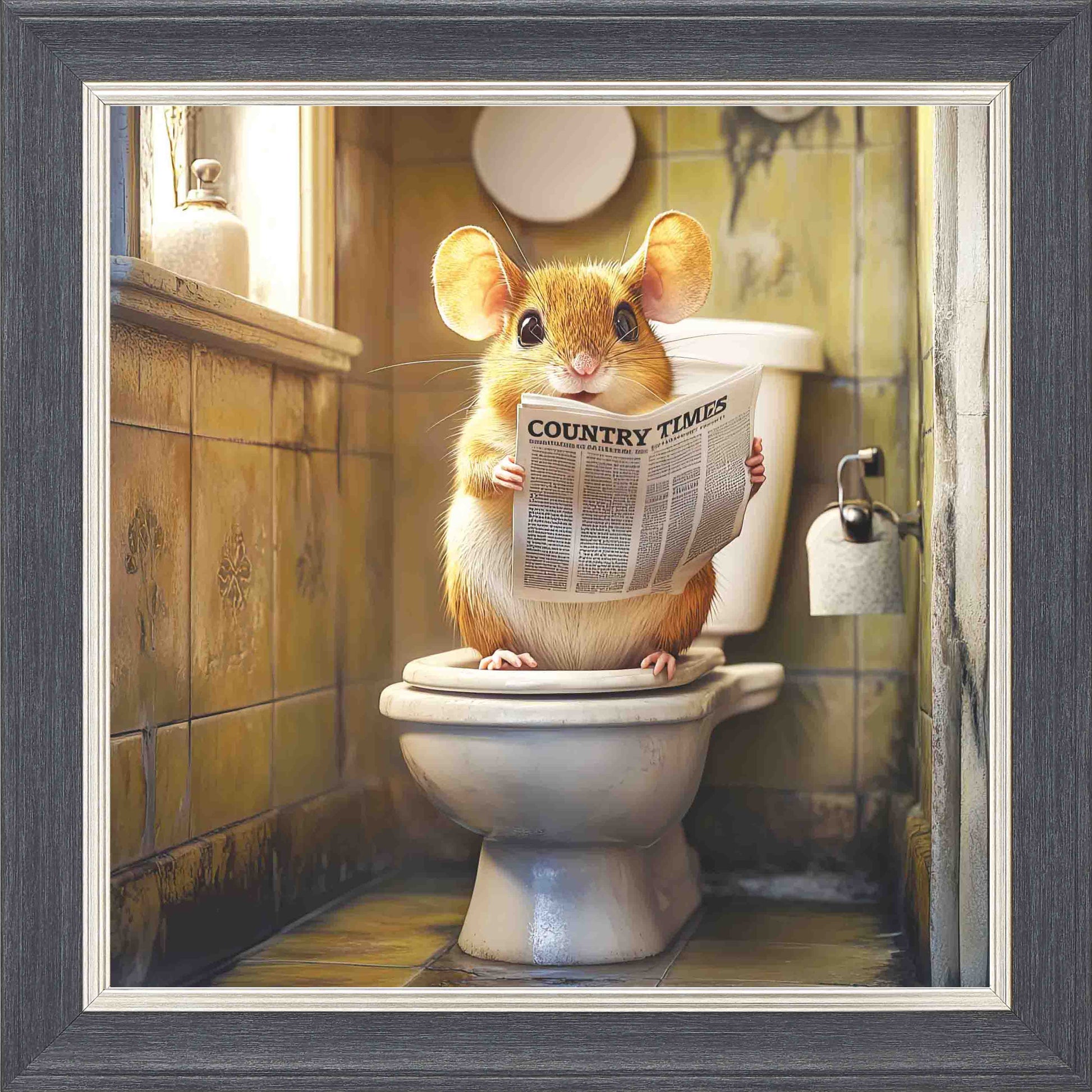 Field Mouse Toilet Framed Wall Art - Grey with Silver Trim